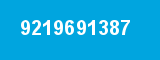9219691387