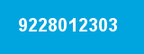 9228012303