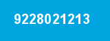 9228021213