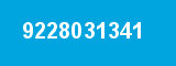 9228031341
