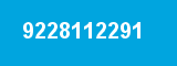 9228112291