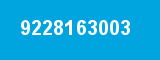 9228163003