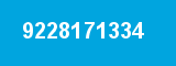 9228171334