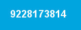 9228173814