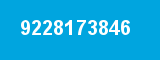 9228173846