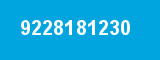 9228181230
