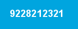 9228212321