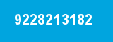 9228213182