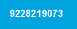 9228219073