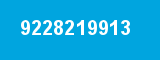 9228219913