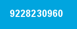 9228230960