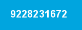 9228231672