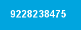 9228238475