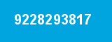 9228293817