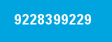 9228399229