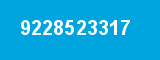 9228523317