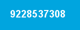 9228537308