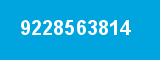 9228563814