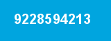 9228594213