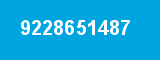 9228651487
