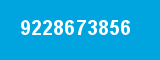9228673856 9228673856