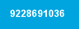 9228691036