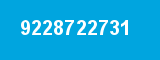 9228722731