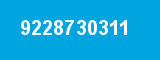 9228730311