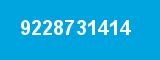9228731414