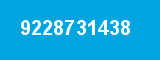 9228731438