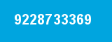 9228733369