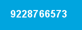 9228766573