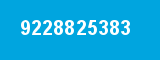 9228825383