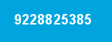 9228825385
