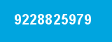 9228825979