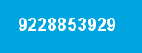 9228853929