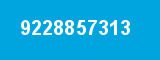 9228857313