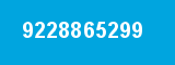 9228865299