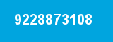 9228873108