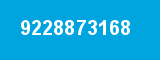 9228873168