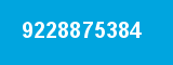 9228875384