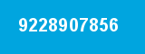 9228907856