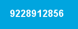 9228912856