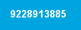 9228913885