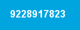9228917823