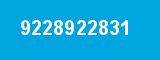9228922831