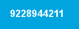 9228944211