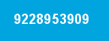 9228953909