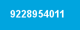 9228954011