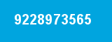 9228973565